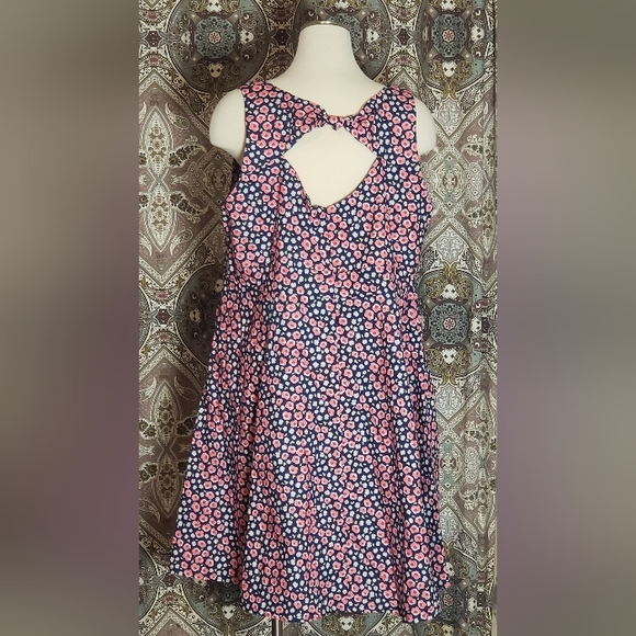 Cherry Velvet Peek-A-Boo Sun Dress with Pockets. Pink/Red/Navy (3X) - Picture 5 of 6